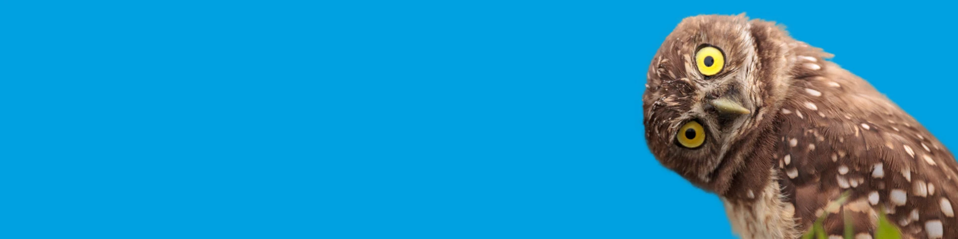 We have blended the passion of attention to <span class="text-black">details</span> into our soul