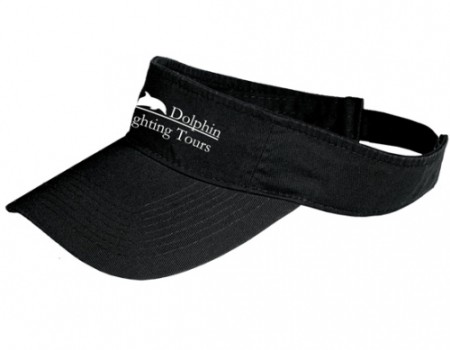Adventurous Visor