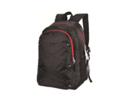 Case Logic Ibira Computer Backpack