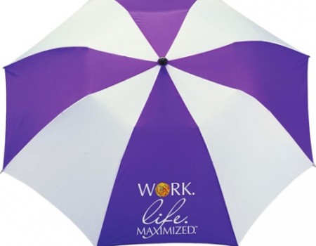 Canopy Folding Umbrella