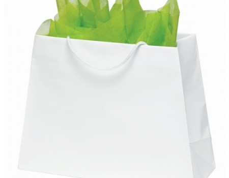 McKinley Trapazoid Paper Shopping Bag