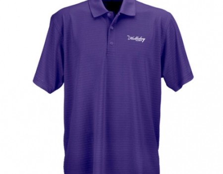 Textured Stripe Polo