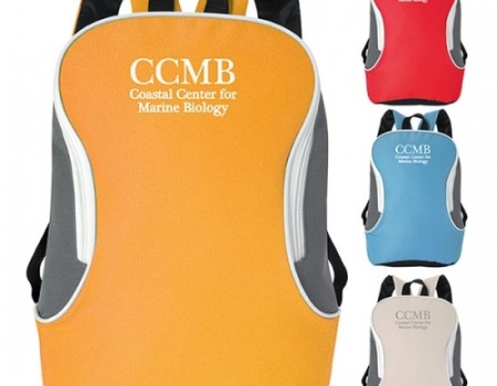 Bi-Colored Polyester Backpack