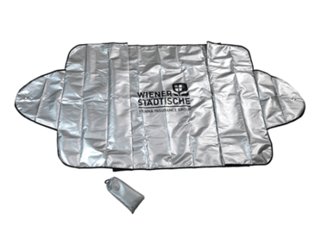 Car ice shield