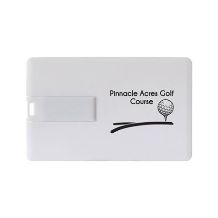 Vivid Credit Card USB Flash Drive 2GB