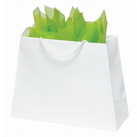 McKinley Trapazoid Paper Shopping Bag