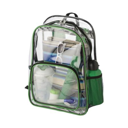 Transparent backpack