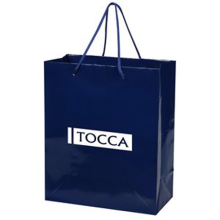Gloss Eurotote - 12" x 10"