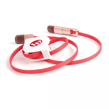 2 in 1 multi-functional telescopic cable