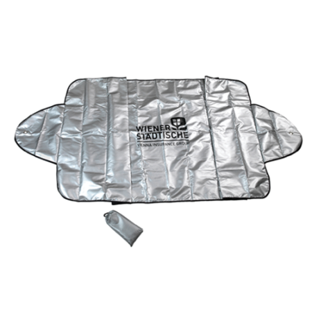Car ice shield